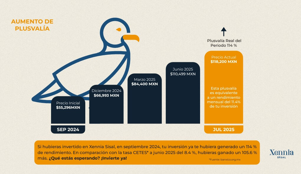 Xe Aumento PlusvaliaJun2025